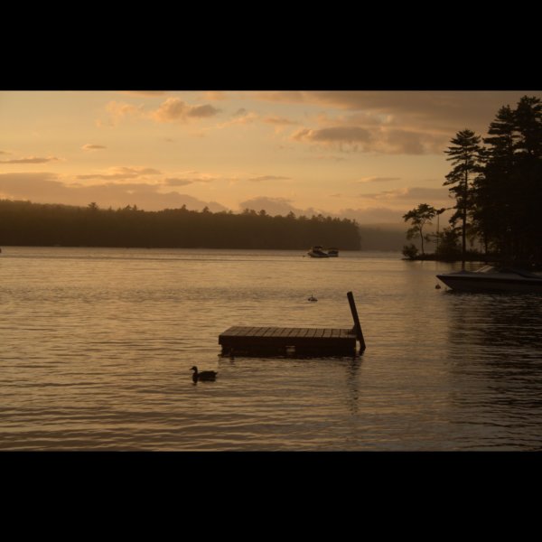viewoffloatingdock.jpg